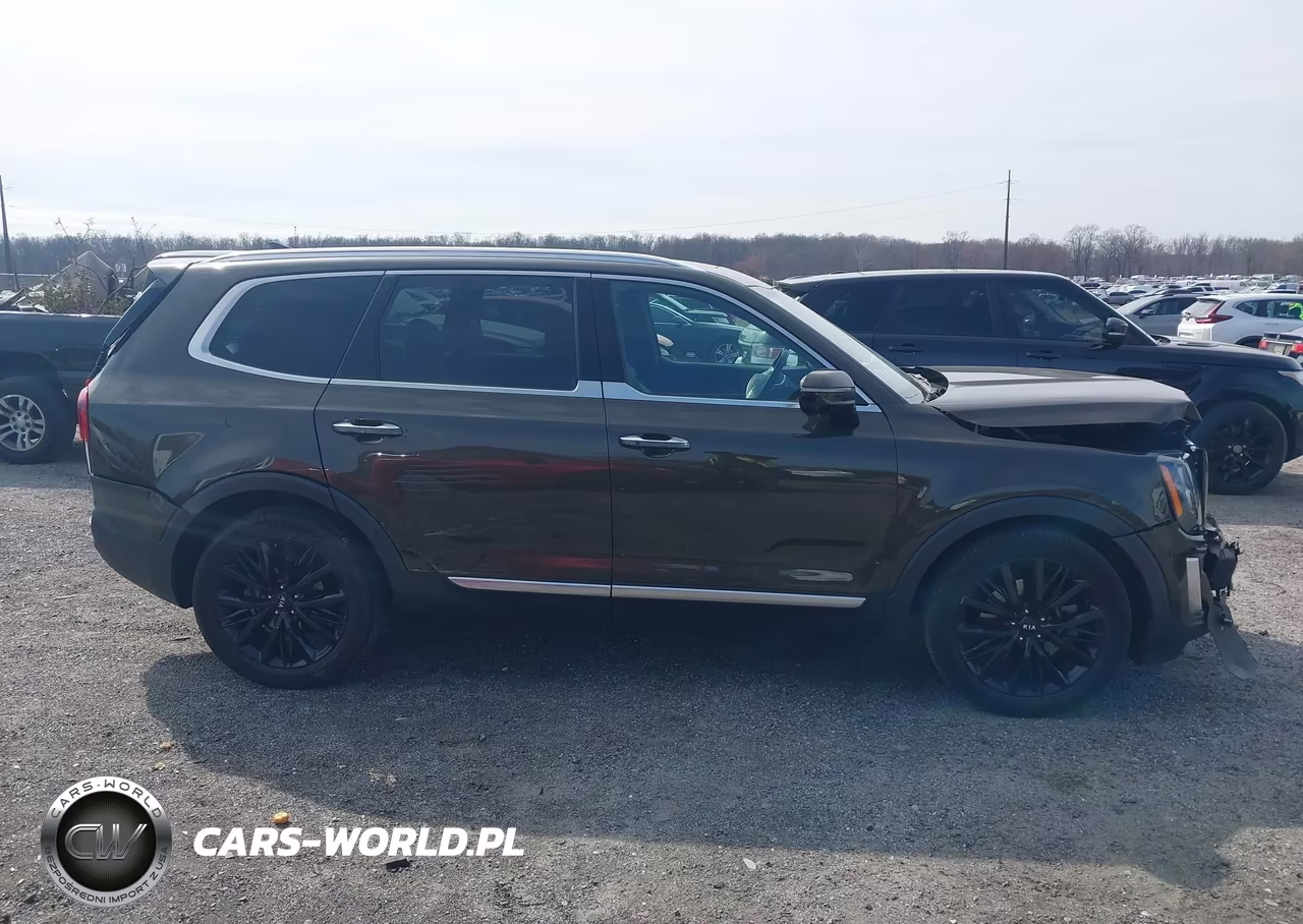 2021 Kia Telluride Sx VIN:5XYP5DHC9MG125990 - 13