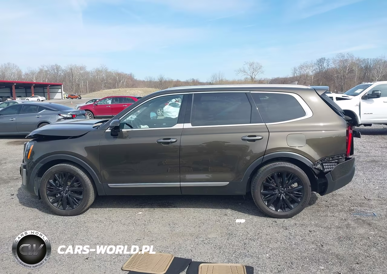 2021 Kia Telluride Sx VIN:5XYP5DHC9MG125990 - 14