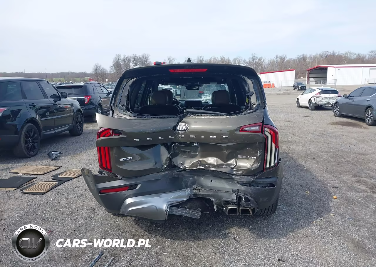 2021 Kia Telluride Sx VIN:5XYP5DHC9MG125990 - 16