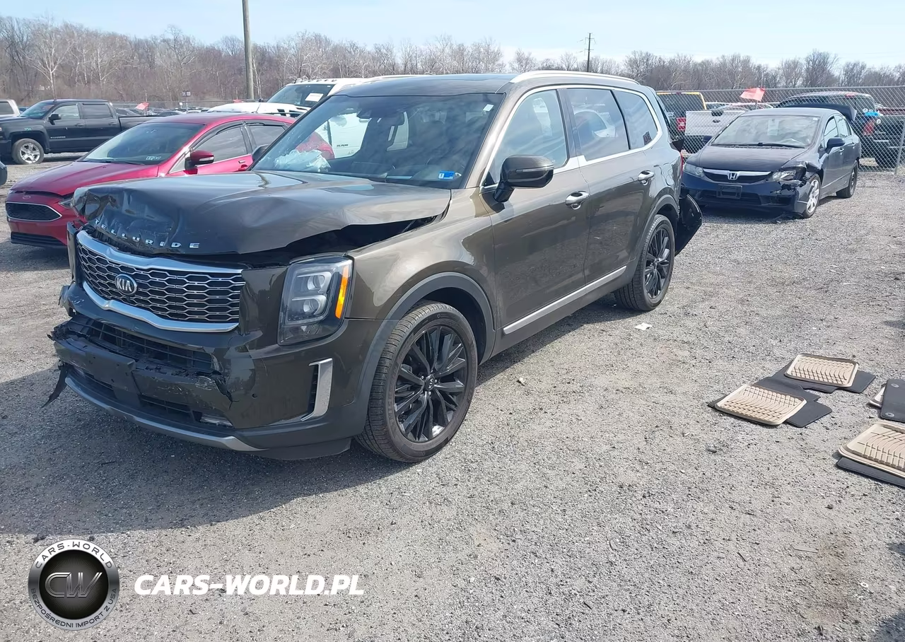 2021 Kia Telluride Sx VIN:5XYP5DHC9MG125990 - 2