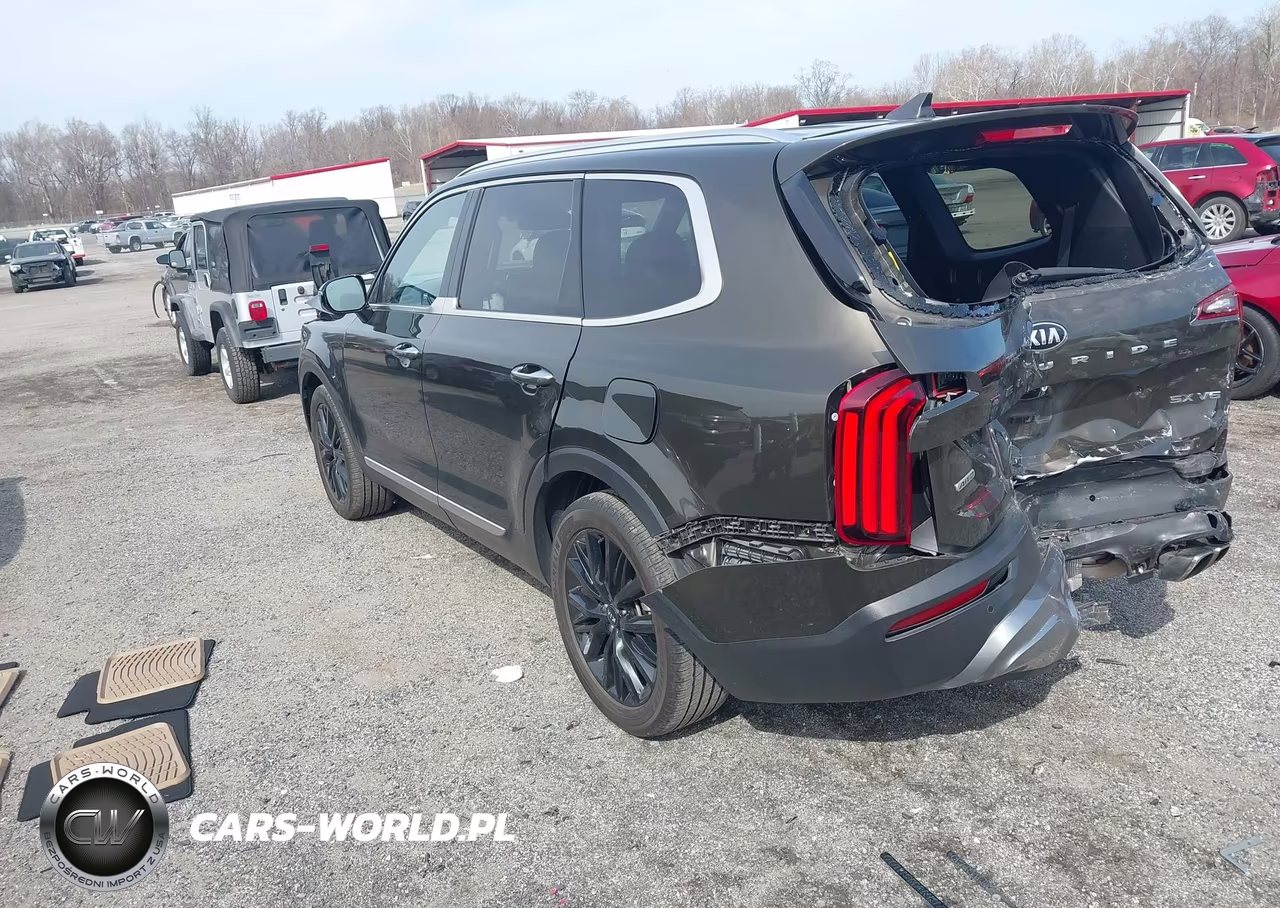 2021 Kia Telluride Sx VIN:5XYP5DHC9MG125990 - 3