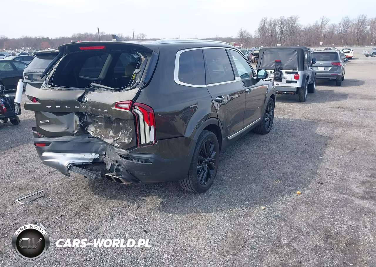 2021 Kia Telluride Sx VIN:5XYP5DHC9MG125990 - 4
