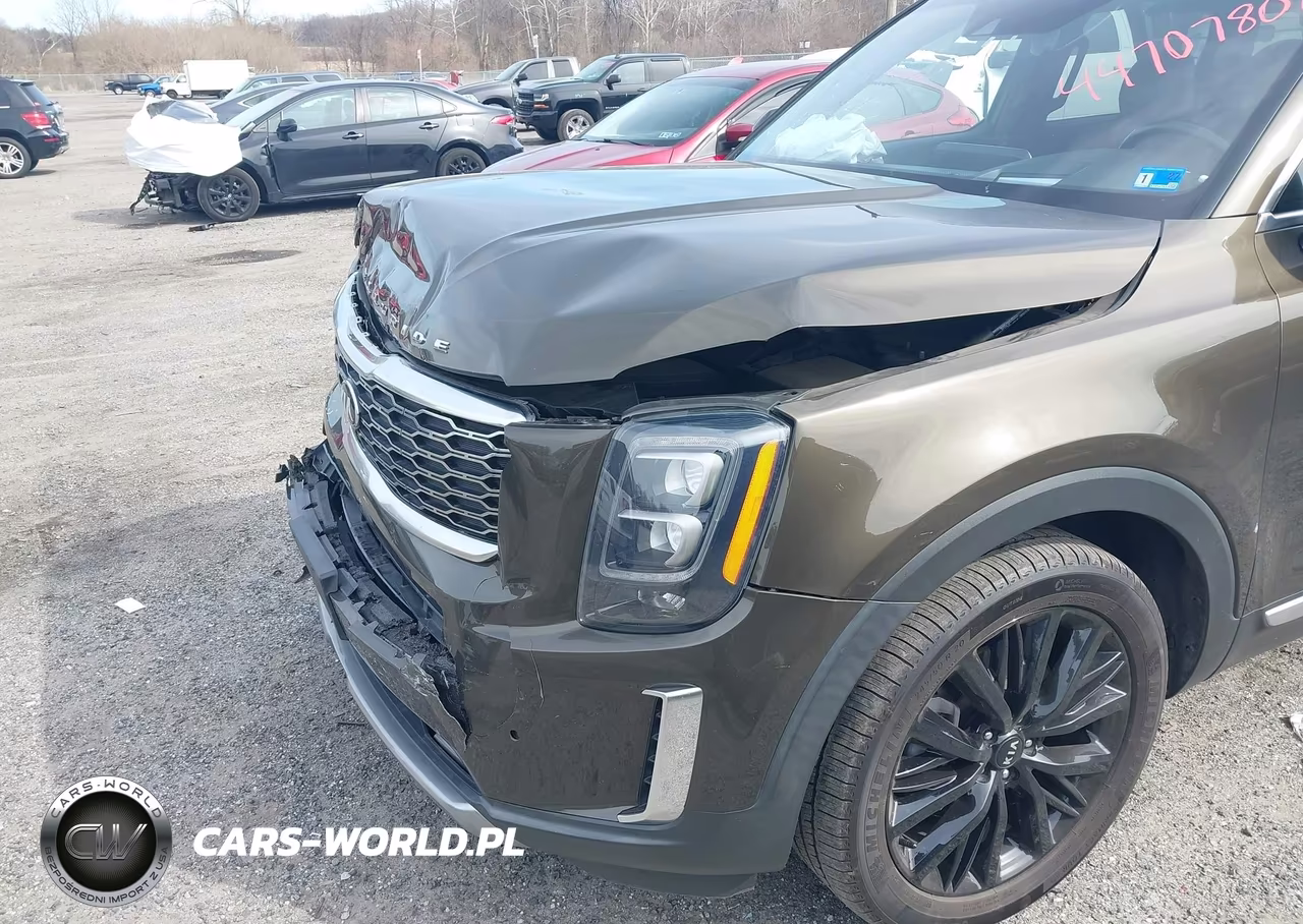 2021 Kia Telluride Sx VIN:5XYP5DHC9MG125990 - 6