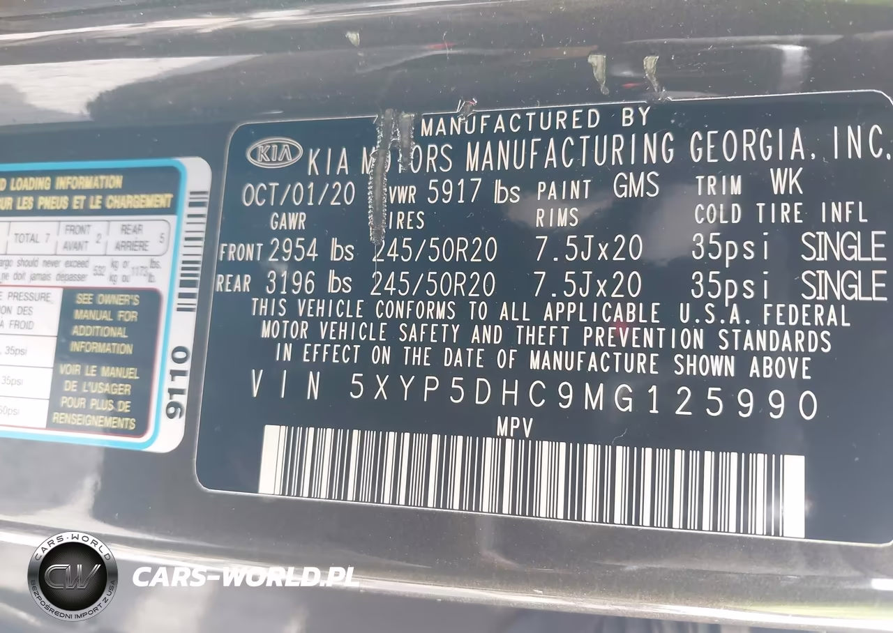 2021 Kia Telluride Sx VIN:5XYP5DHC9MG125990 - 9