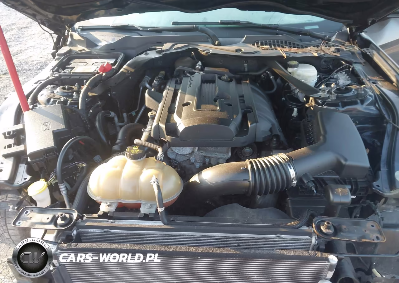 2016 Ford Mustang Ecoboost VIN:1FA6P8TH1G5301076 - 10