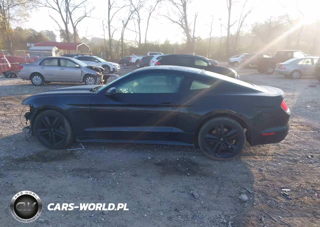 2016 Ford Mustang Ecoboost VIN:1FA6P8TH1G5301076 - 14