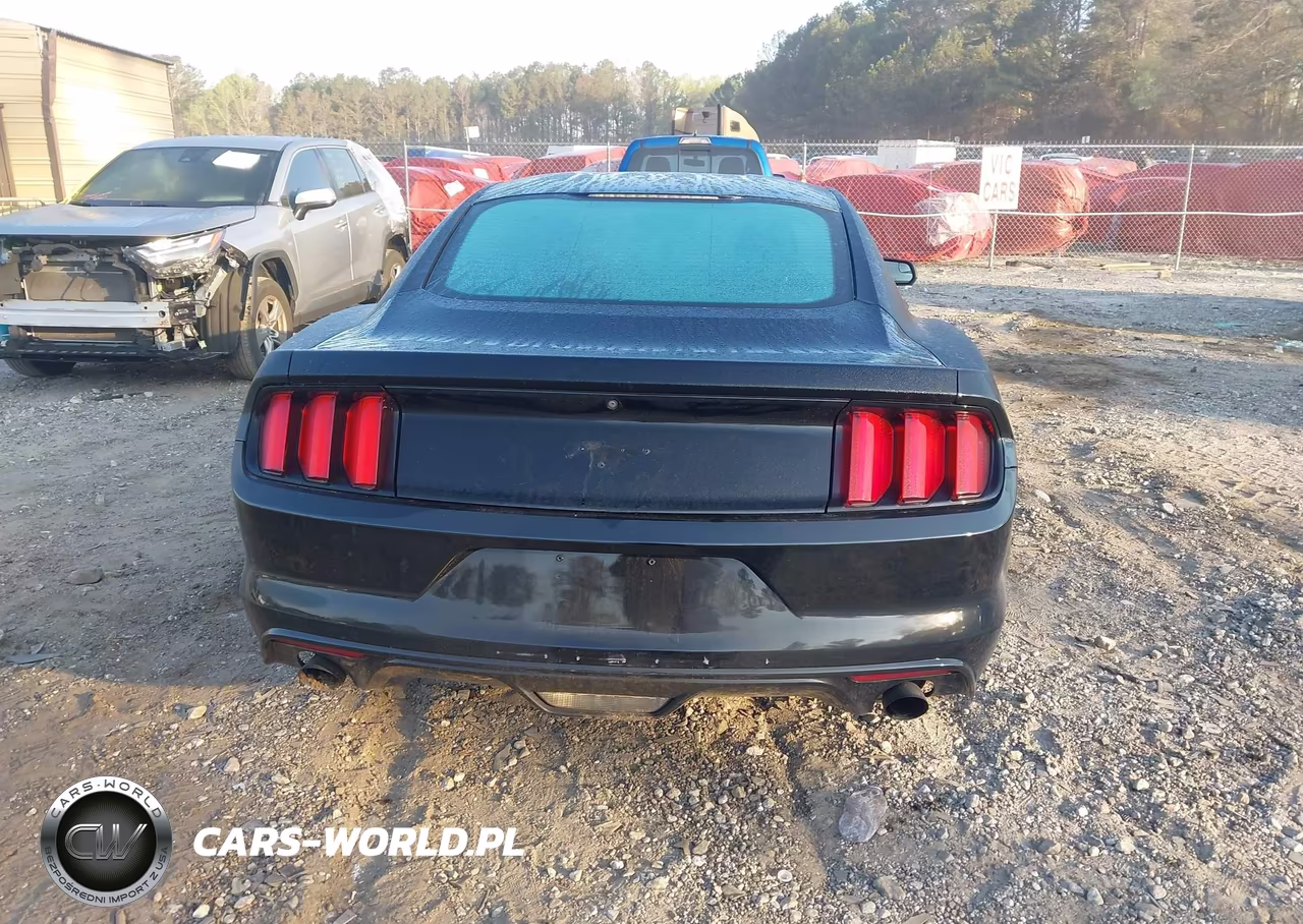 2016 Ford Mustang Ecoboost VIN:1FA6P8TH1G5301076 - 16