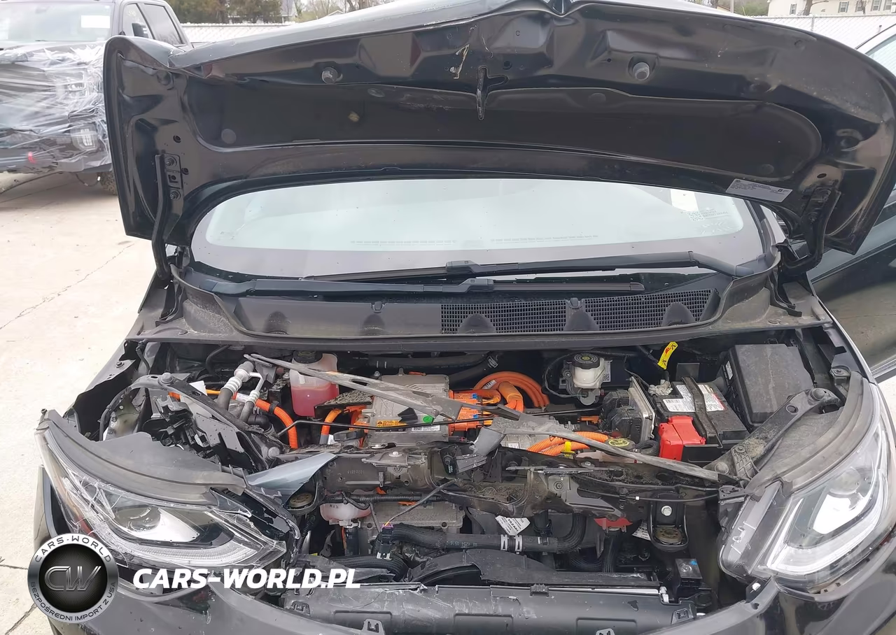 2017 Chevrolet Bolt Ev Premier VIN:1G1FX6S00H4189543 - 10