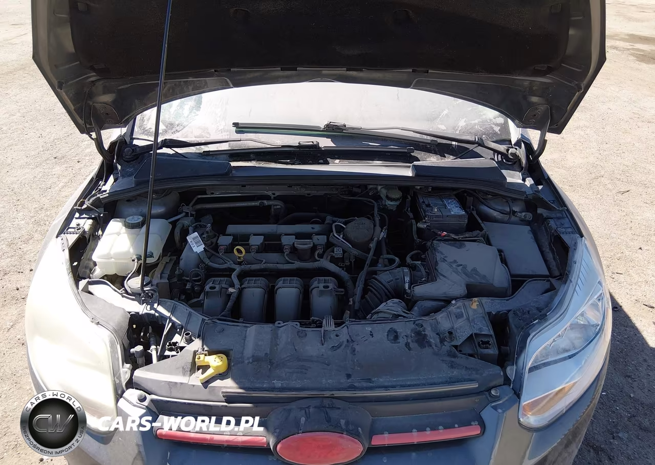 2014 Ford Focus Se VIN:1FADP3F24EL209034 - 10
