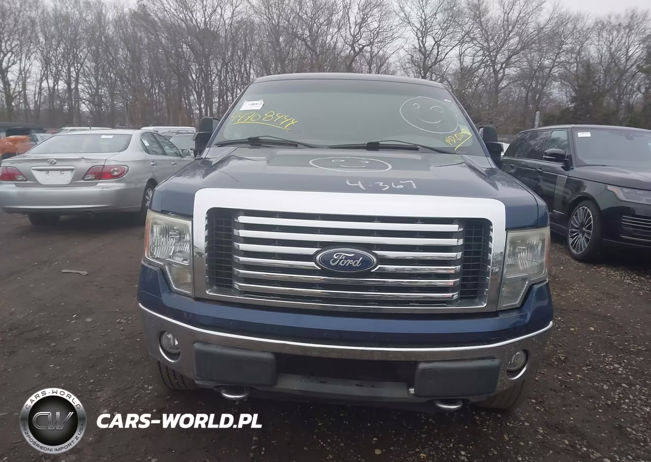 2010 Ford F-150 Fx4-Lariat-Xl-Xlt VIN:1FTFX1EV5AFA61455 - 11