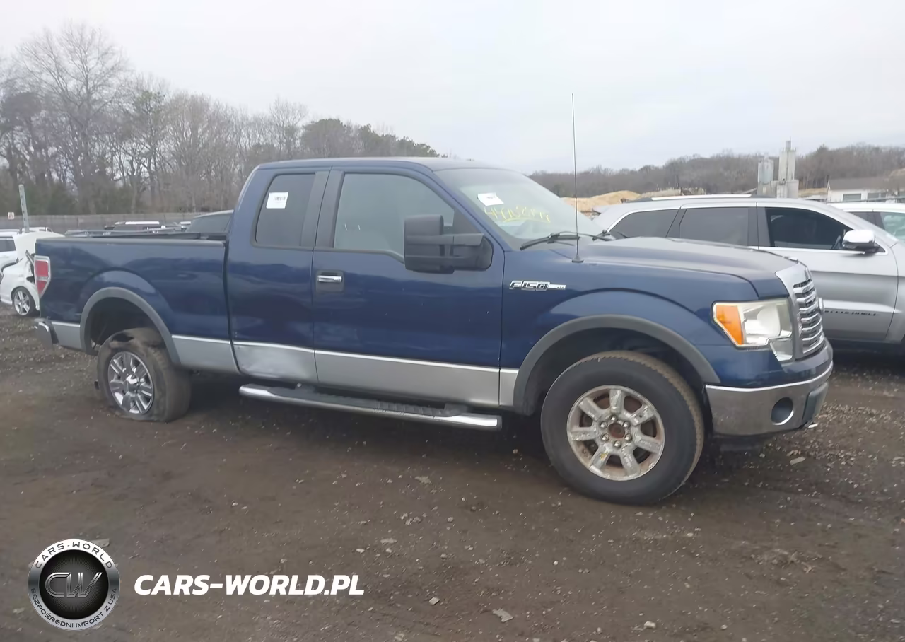 2010 Ford F-150 Fx4-Lariat-Xl-Xlt VIN:1FTFX1EV5AFA61455 - 12