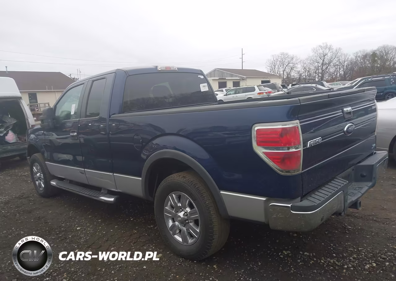 2010 Ford F-150 Fx4-Lariat-Xl-Xlt VIN:1FTFX1EV5AFA61455 - 13