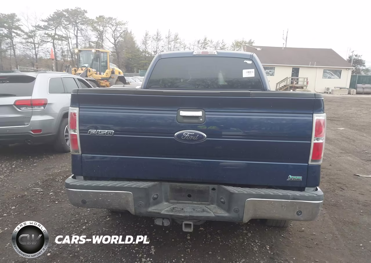 2010 Ford F-150 Fx4-Lariat-Xl-Xlt VIN:1FTFX1EV5AFA61455 - 15