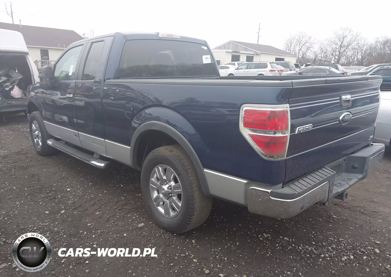2010 Ford F-150 Fx4-Lariat-Xl-Xlt VIN:1FTFX1EV5AFA61455 - 3