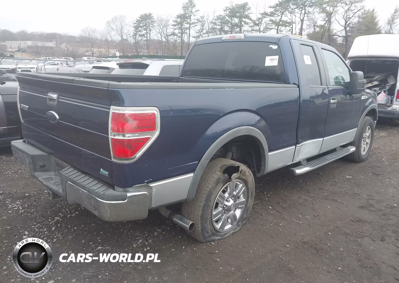 2010 Ford F-150 Fx4-Lariat-Xl-Xlt VIN:1FTFX1EV5AFA61455 - 4