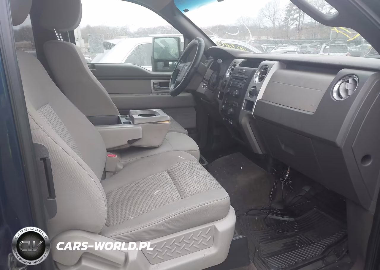 2010 Ford F-150 Fx4-Lariat-Xl-Xlt VIN:1FTFX1EV5AFA61455 - 5