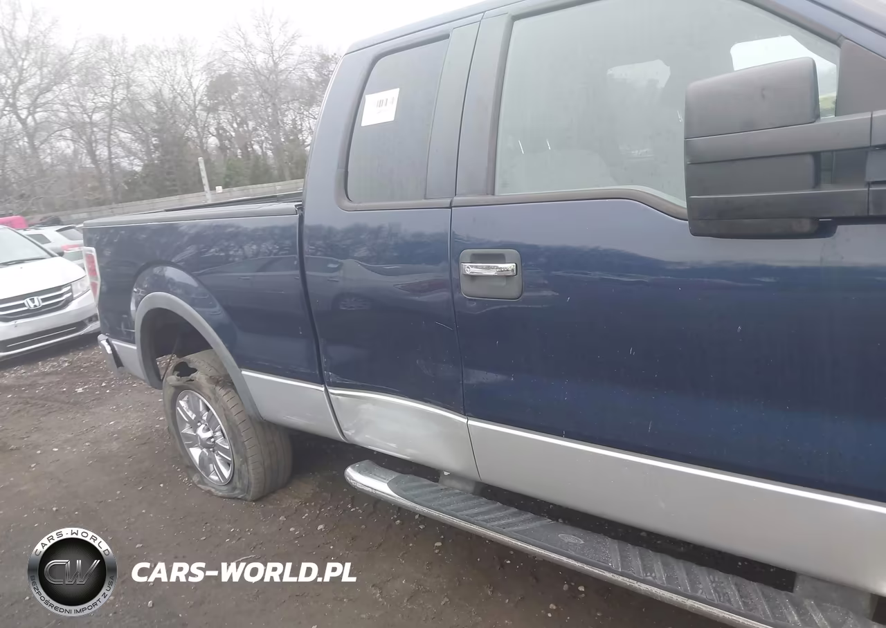 2010 Ford F-150 Fx4-Lariat-Xl-Xlt VIN:1FTFX1EV5AFA61455 - 6