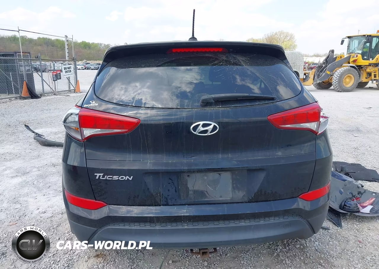 2016 Hyundai Tucson Se VIN:KM8J23A48GU163933 - 17