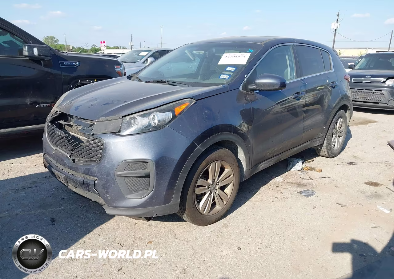 2019 Kia Sportage Lx VIN:KNDPM3AC9K7590545 - 2