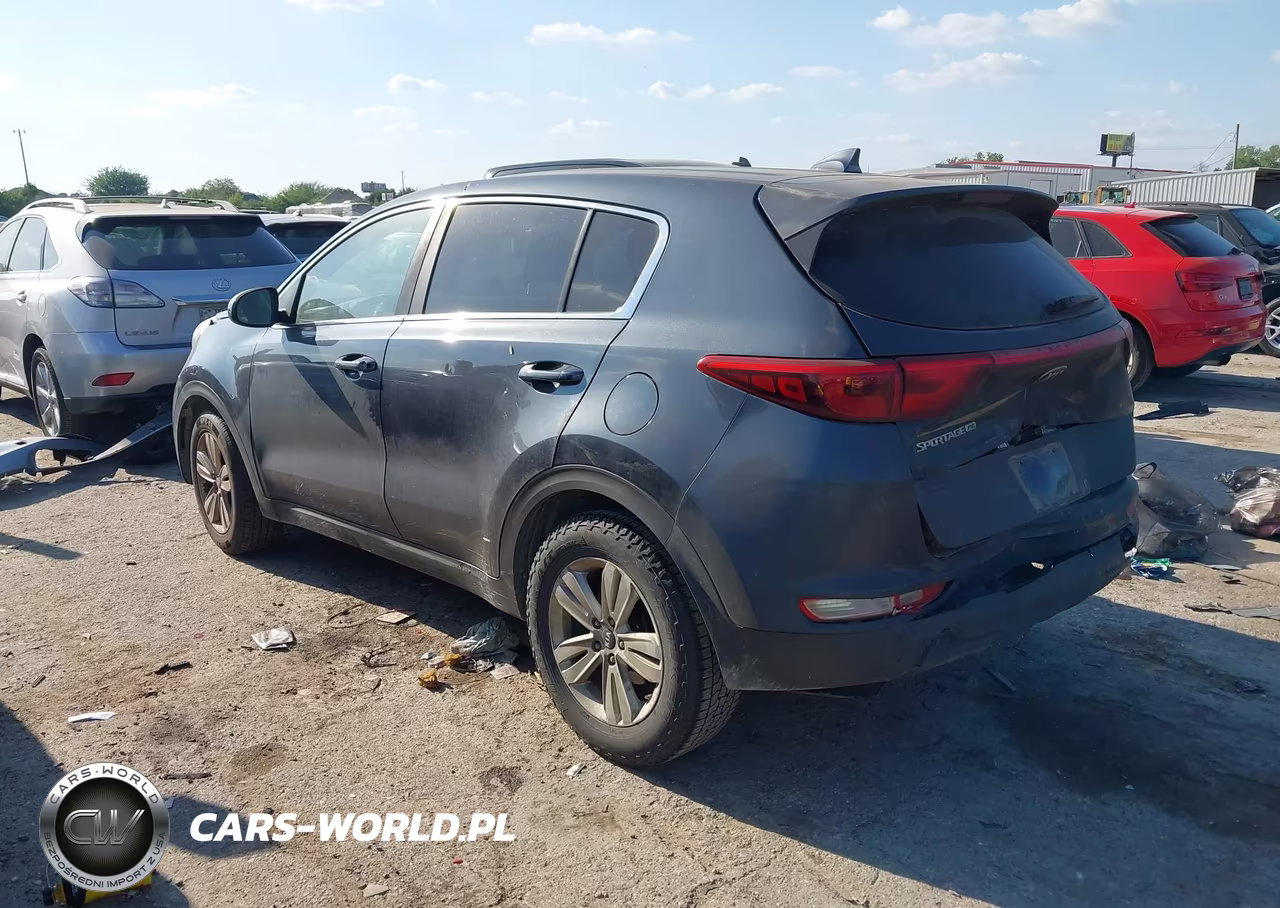 2019 Kia Sportage Lx VIN:KNDPM3AC9K7590545 - 3