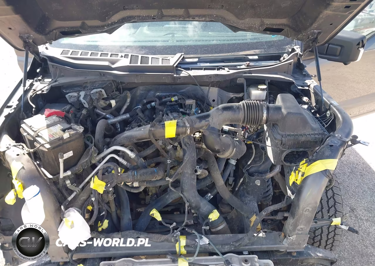2021 Ford F-150 Xlt VIN:1FTEW1EP1MFB77319 - 10