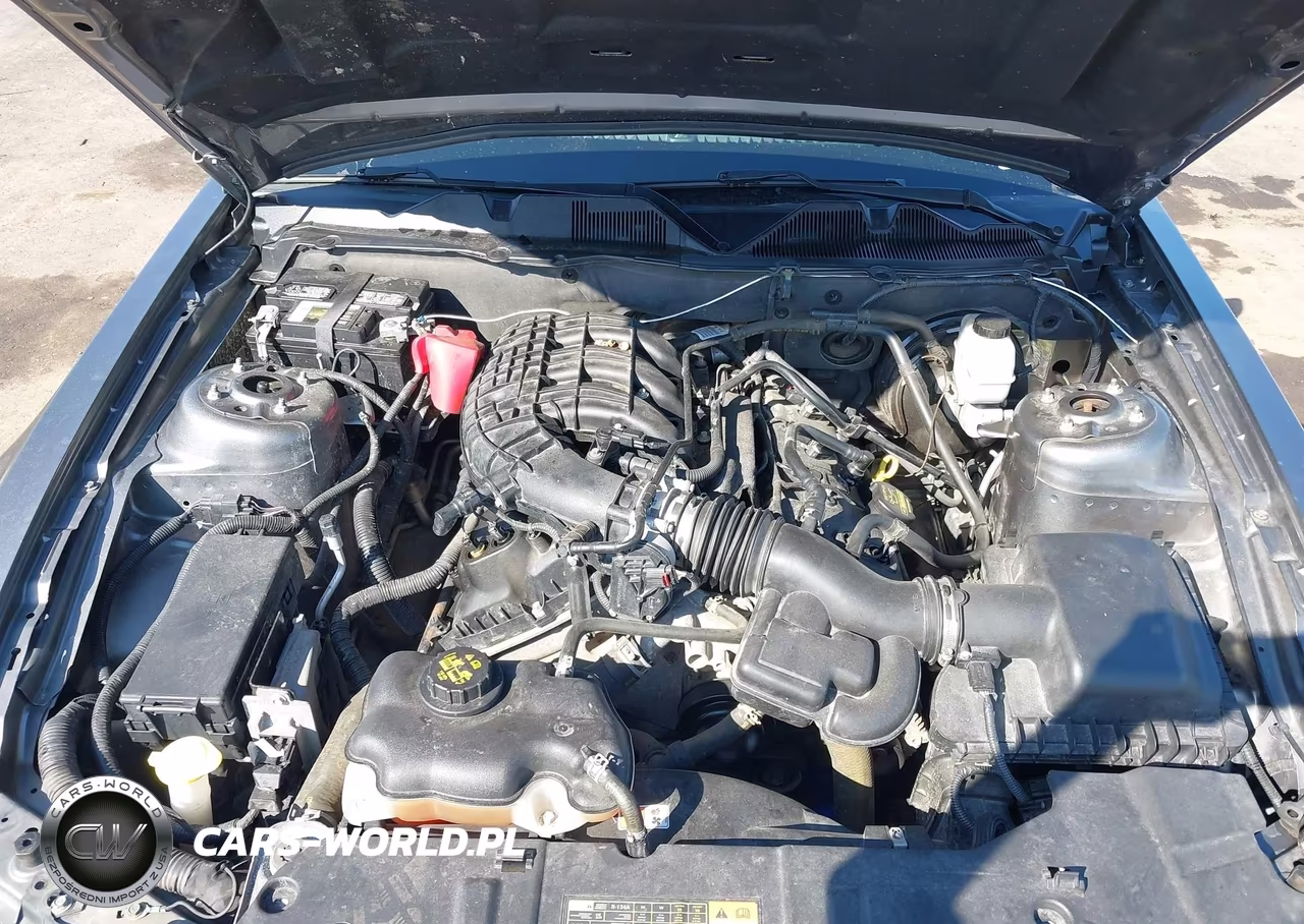 2013 Ford Mustang V6 VIN:1ZVBP8AM2D5241021 - 10