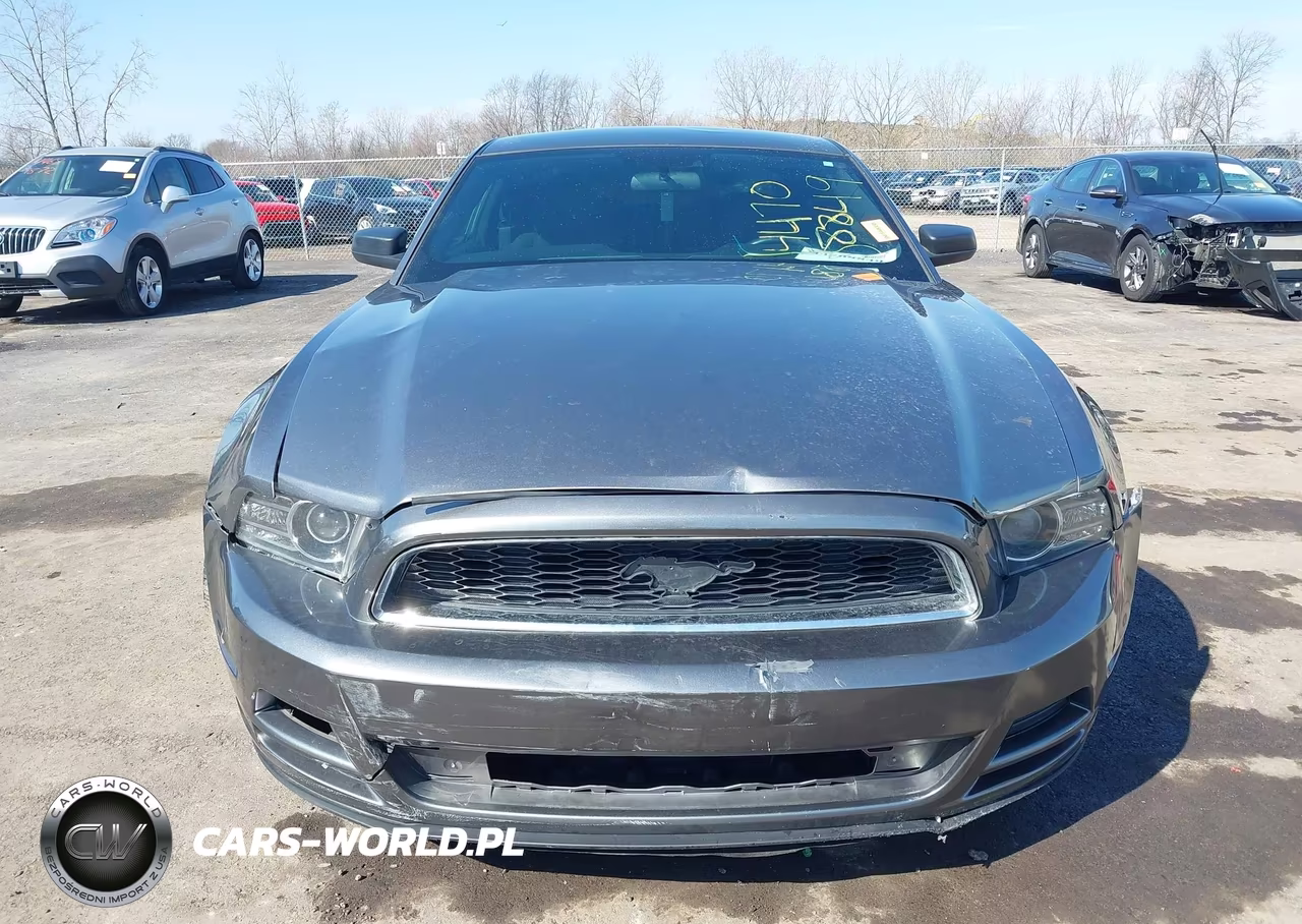 2013 Ford Mustang V6 VIN:1ZVBP8AM2D5241021 - 12