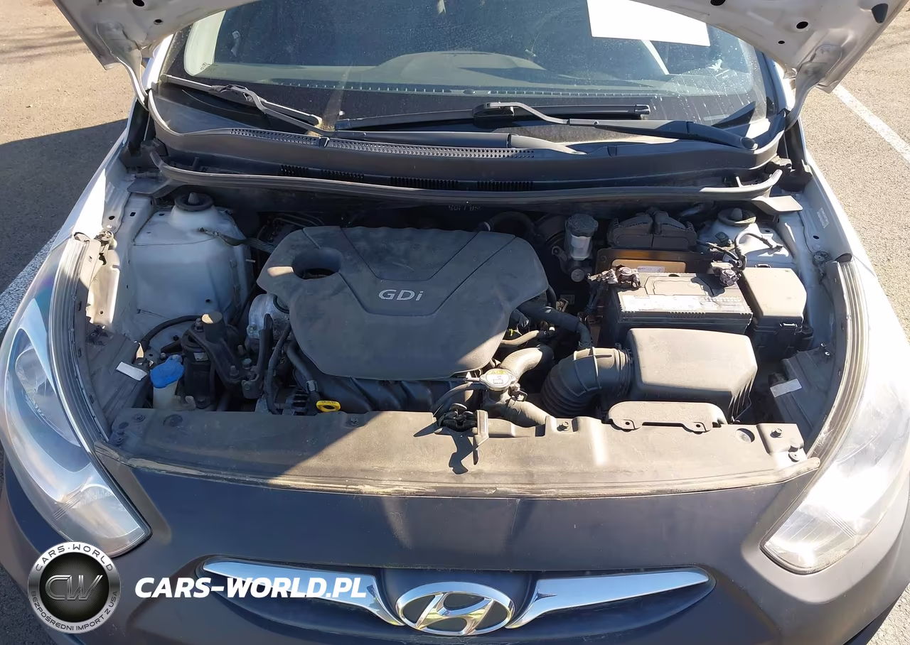 2013 Hyundai Accent Gs VIN:KMHCT5AE3DU065835 - 10