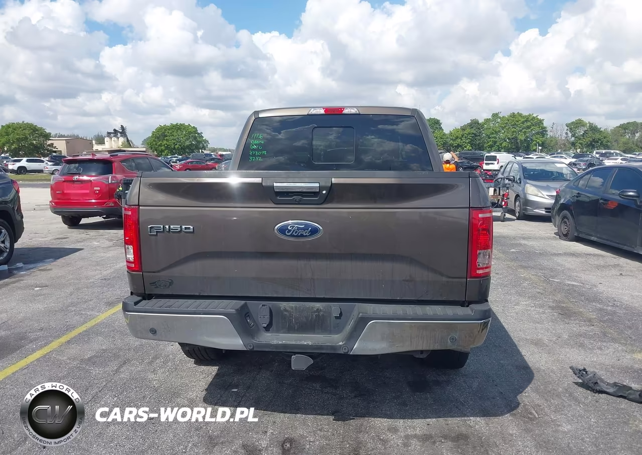 2017 Ford F-150 Xlt VIN:1FTEW1CF7HFB49234 - 17