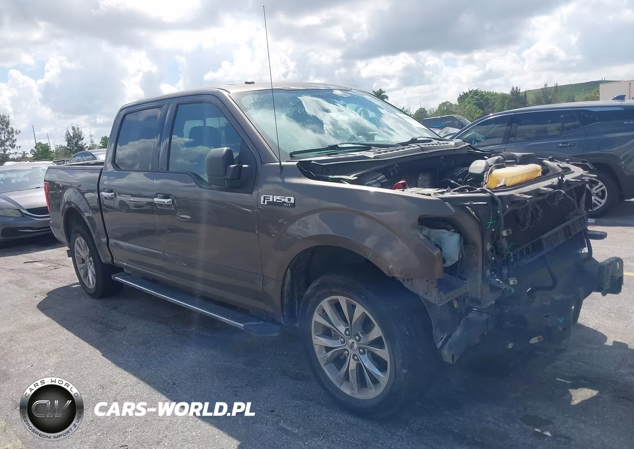2017 Ford F-150 Xlt VIN:1FTEW1CF7HFB49234 - 19