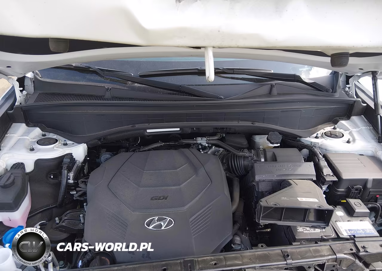 2024 Hyundai Palisade Limited VIN:KM8R5DGE7RU666713 - 10