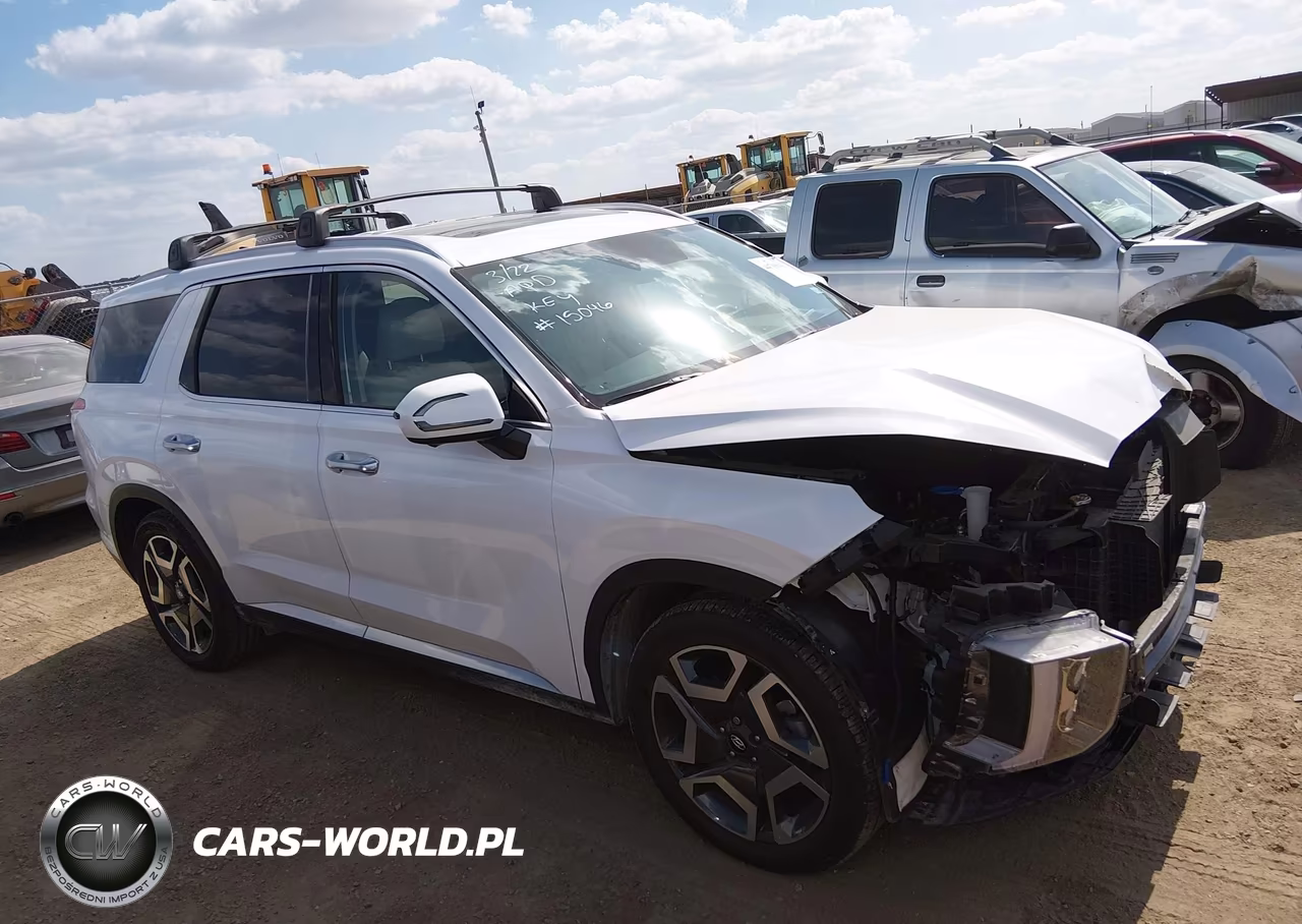 2024 Hyundai Palisade Limited VIN:KM8R5DGE7RU666713 - 13