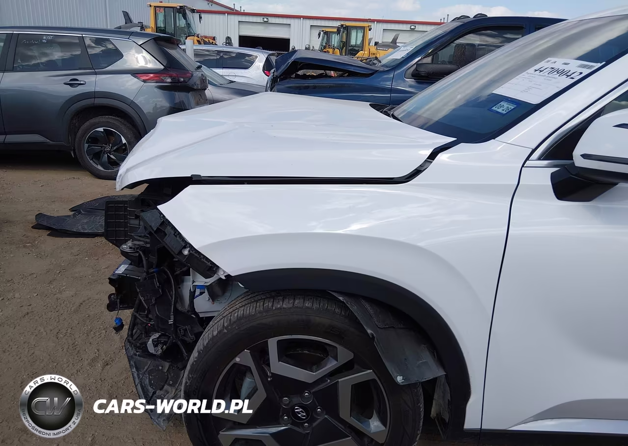 2024 Hyundai Palisade Limited VIN:KM8R5DGE7RU666713 - 6