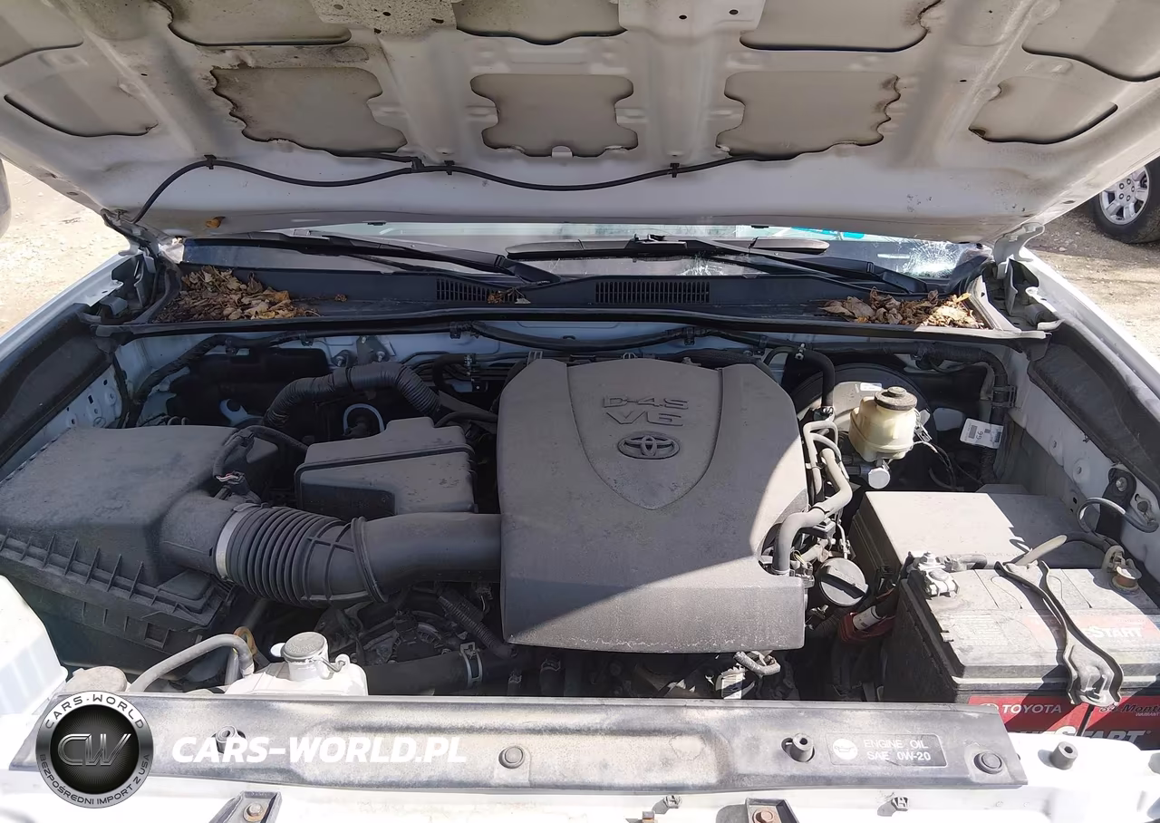 2016 Toyota Tacoma Sr5 V6 VIN:5TFSZ5AN0GX006260 - 10