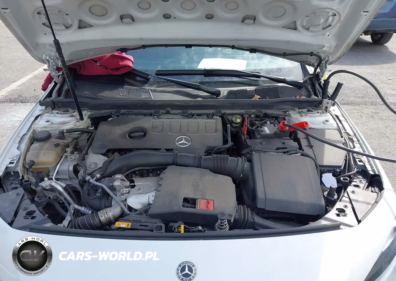2019 Mercedes-Benz A 220 4Matic VIN:WDD3G4FB7KW023158 - 10