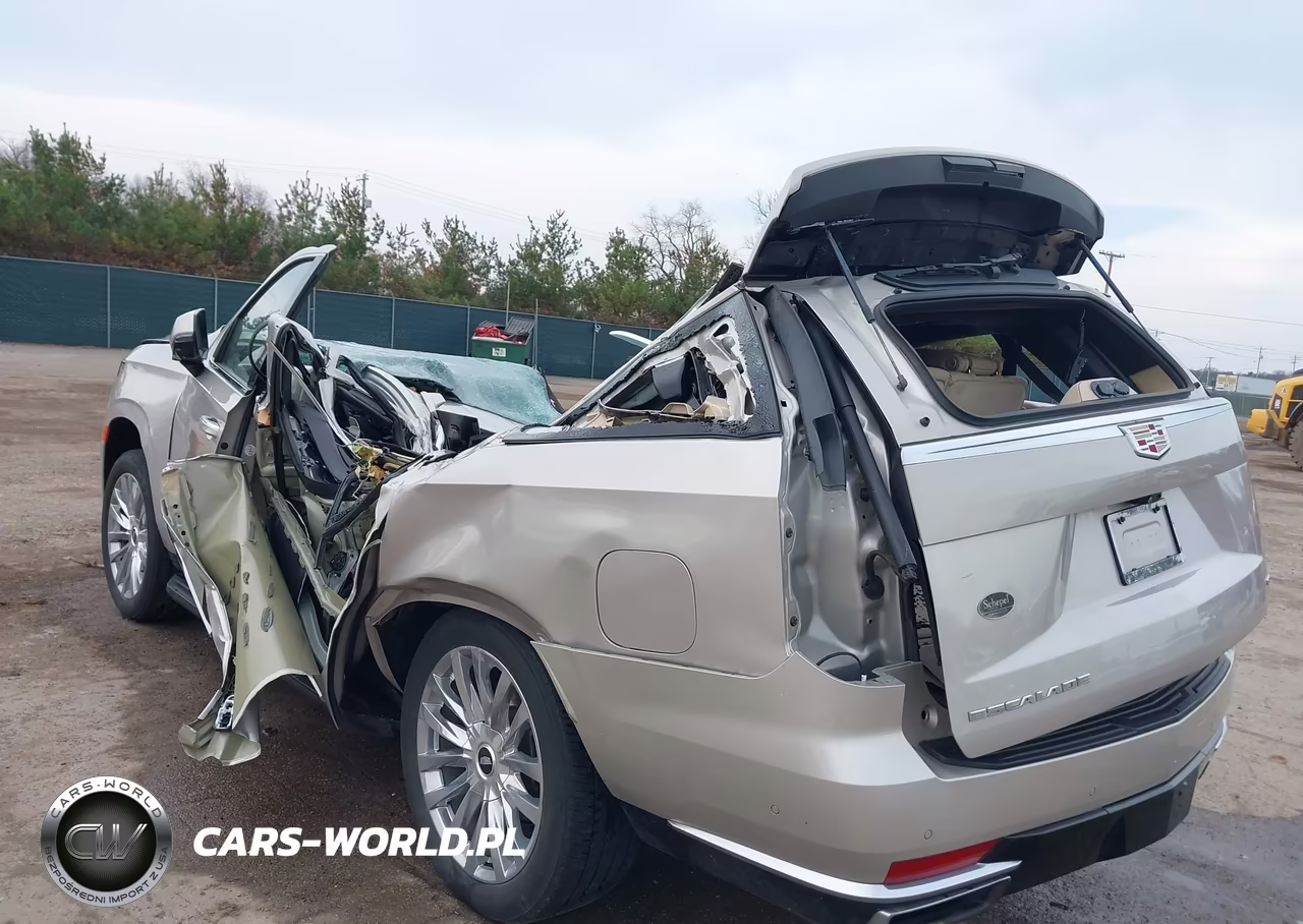 2024 Cadillac Escalade 4Wd Premium Luxury VIN:1GYS4BKL3RR102637 - 18