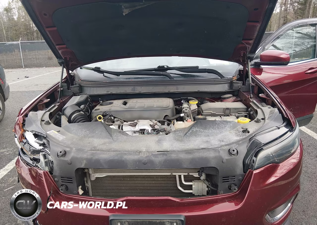 2019 Jeep Cherokee Limited 4X4 VIN:1C4PJMDN1KD320044 - 10