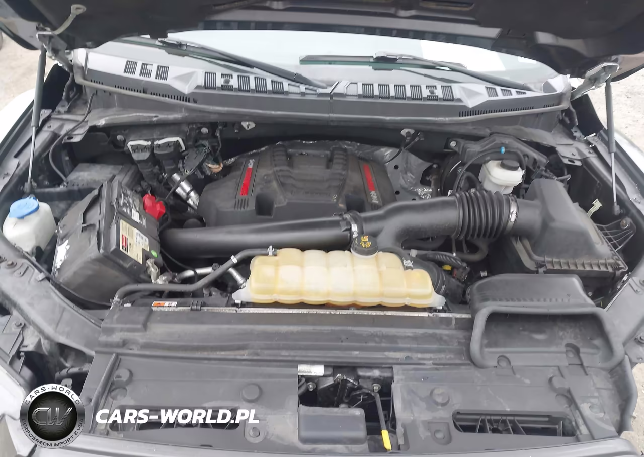 2019 Ford F-150 Raptor VIN:1FTFW1RG3KFA54178 - 10