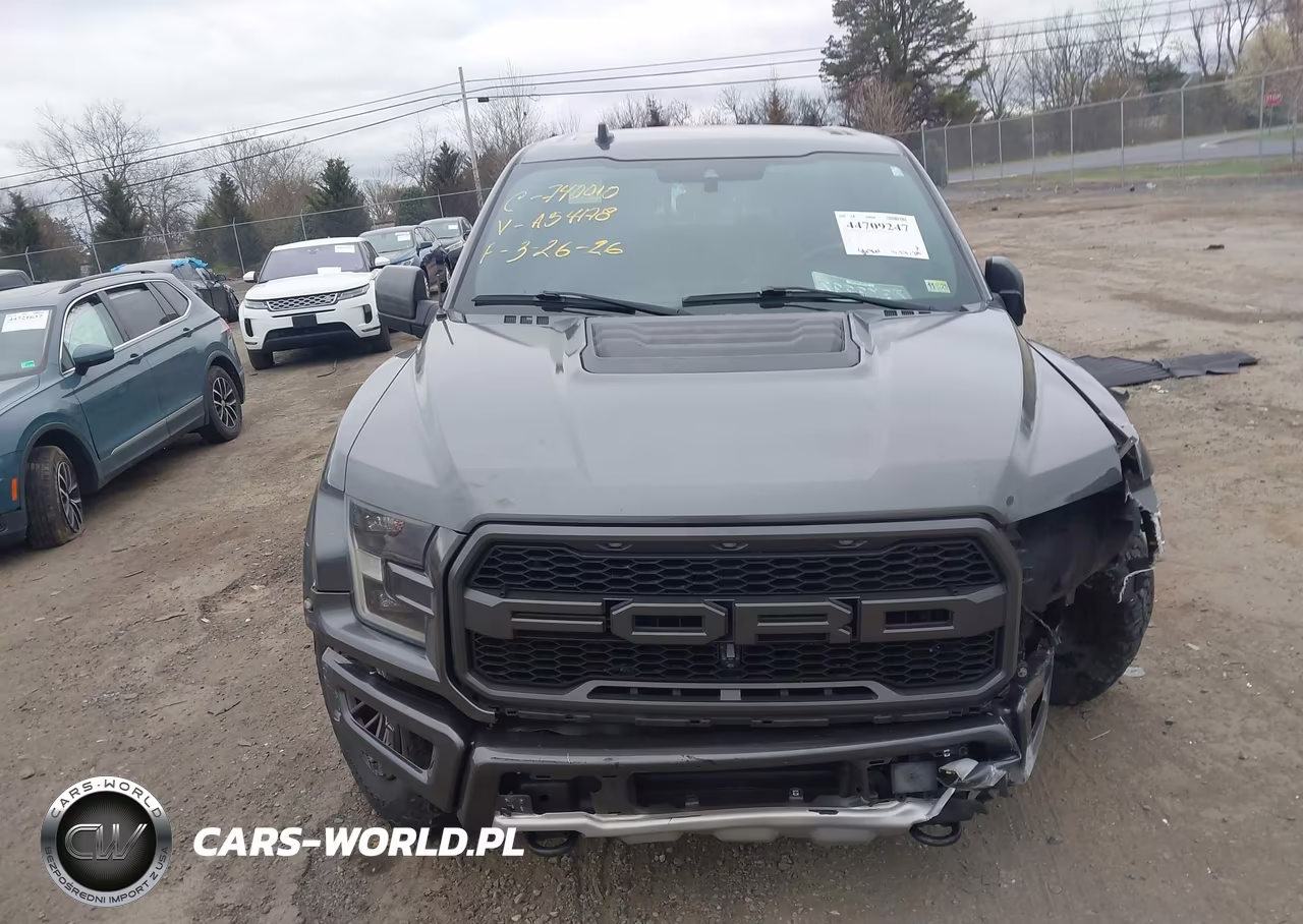 2019 Ford F-150 Raptor VIN:1FTFW1RG3KFA54178 - 12