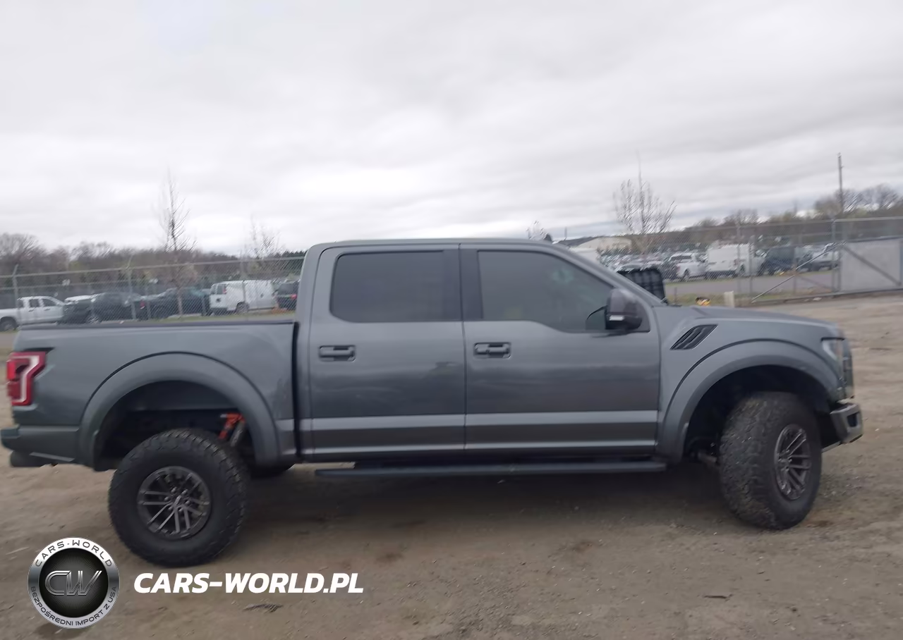 2019 Ford F-150 Raptor VIN:1FTFW1RG3KFA54178 - 13