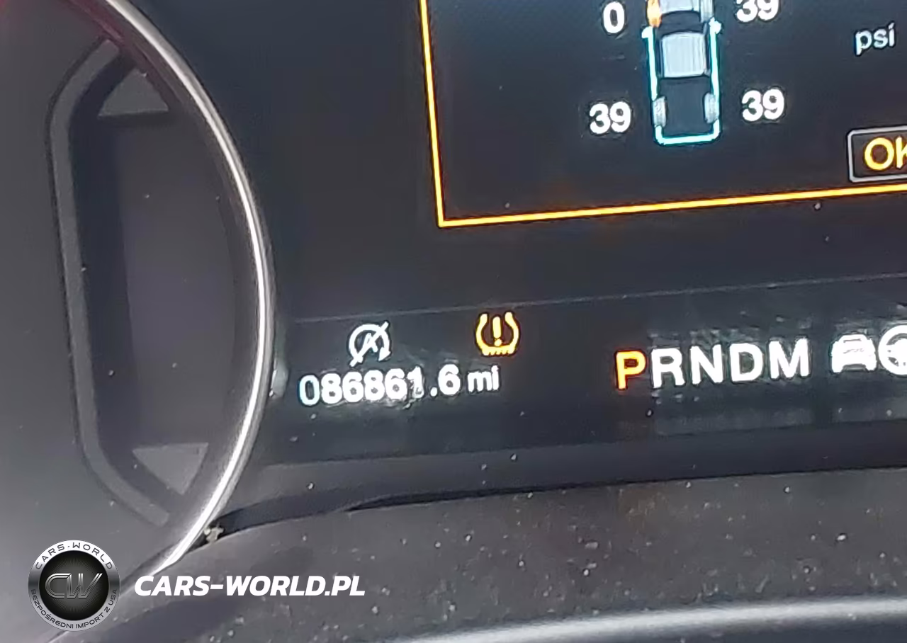 2019 Ford F-150 Raptor VIN:1FTFW1RG3KFA54178 - 15