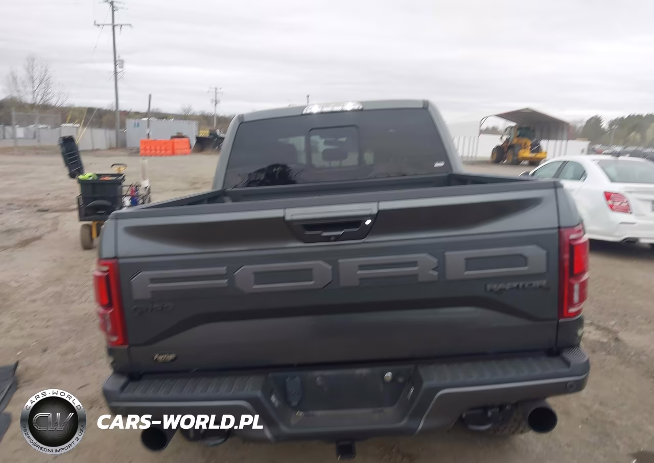 2019 Ford F-150 Raptor VIN:1FTFW1RG3KFA54178 - 16