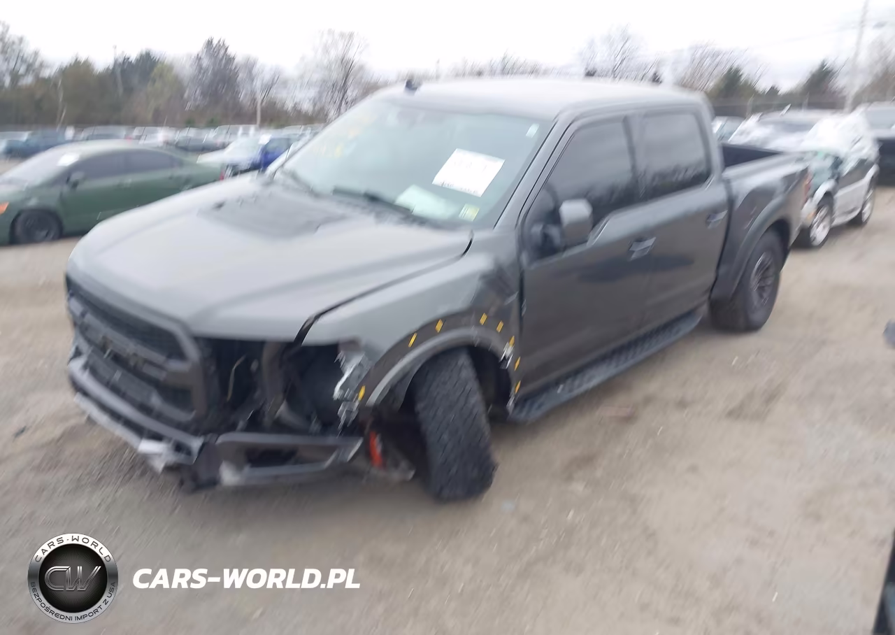 2019 Ford F-150 Raptor VIN:1FTFW1RG3KFA54178 - 2