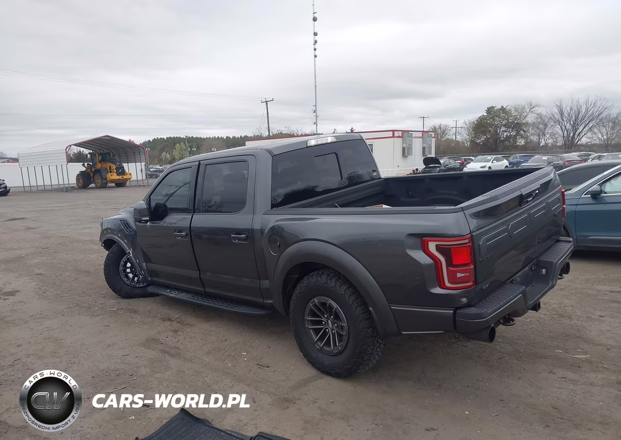 2019 Ford F-150 Raptor VIN:1FTFW1RG3KFA54178 - 3