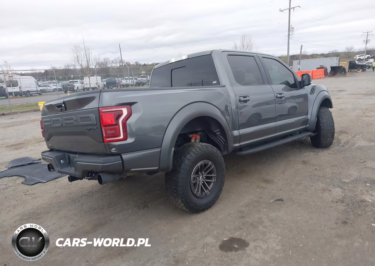 2019 Ford F-150 Raptor VIN:1FTFW1RG3KFA54178 - 4
