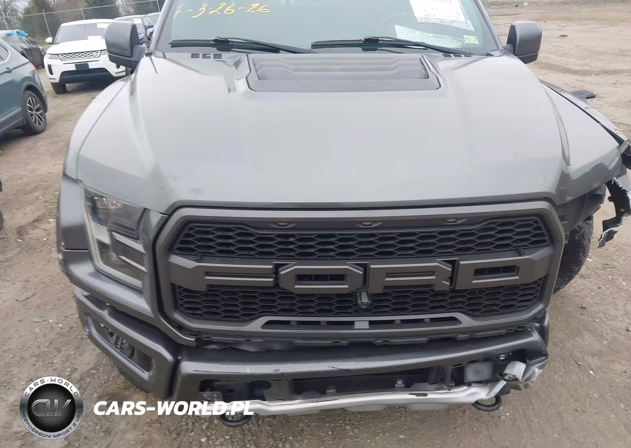 2019 Ford F-150 Raptor VIN:1FTFW1RG3KFA54178 - 6