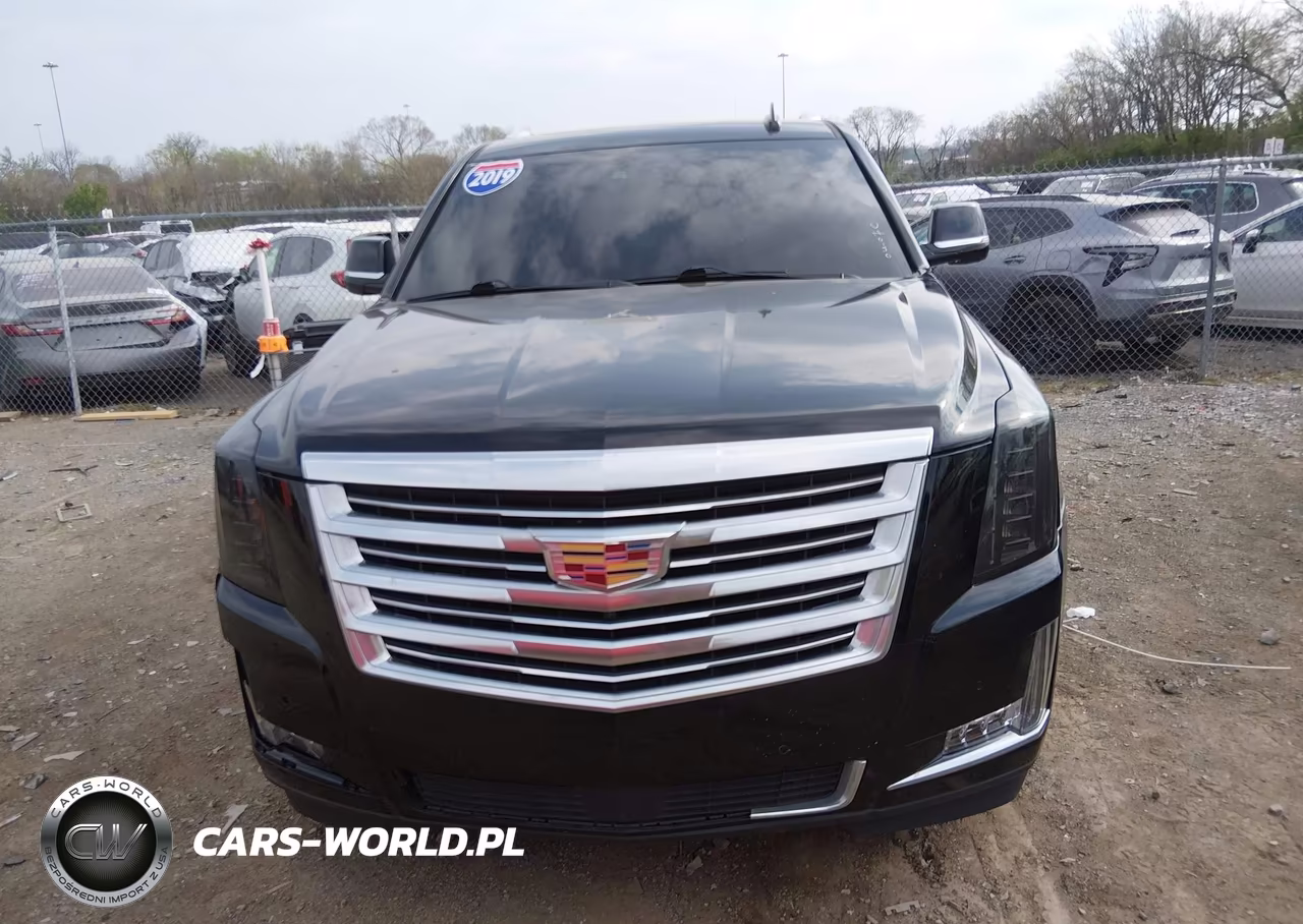 2019 Cadillac Escalade Platinum VIN:1GYS3DKJ5KR210440 - 12