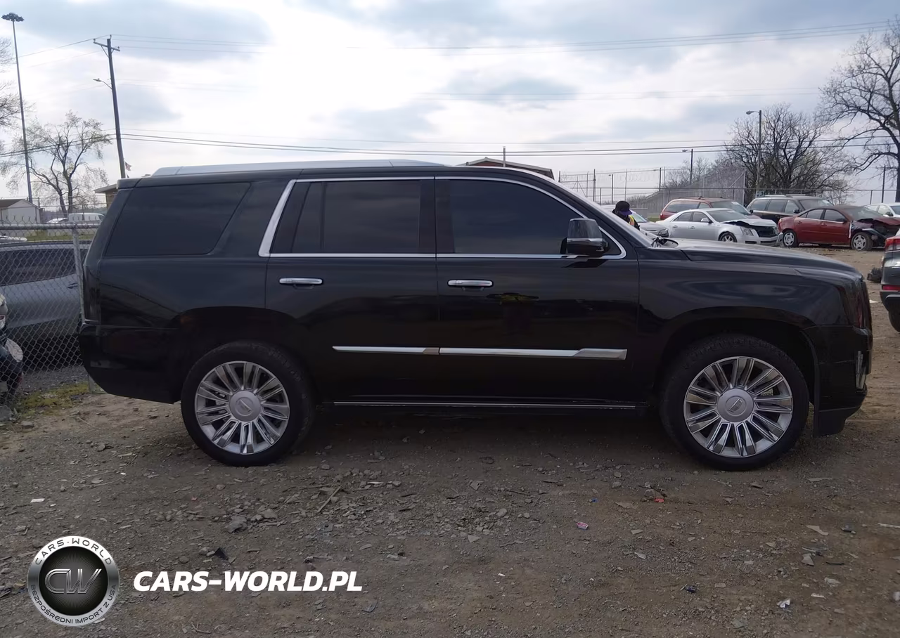 2019 Cadillac Escalade Platinum VIN:1GYS3DKJ5KR210440 - 13