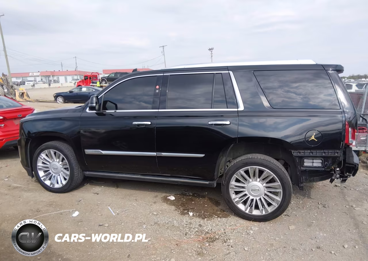 2019 Cadillac Escalade Platinum VIN:1GYS3DKJ5KR210440 - 14