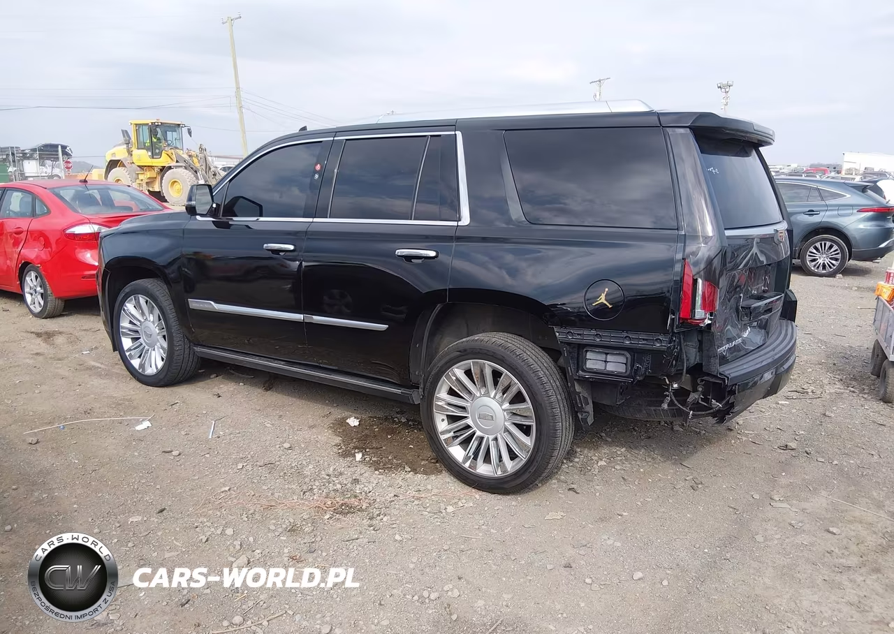 2019 Cadillac Escalade Platinum VIN:1GYS3DKJ5KR210440 - 3